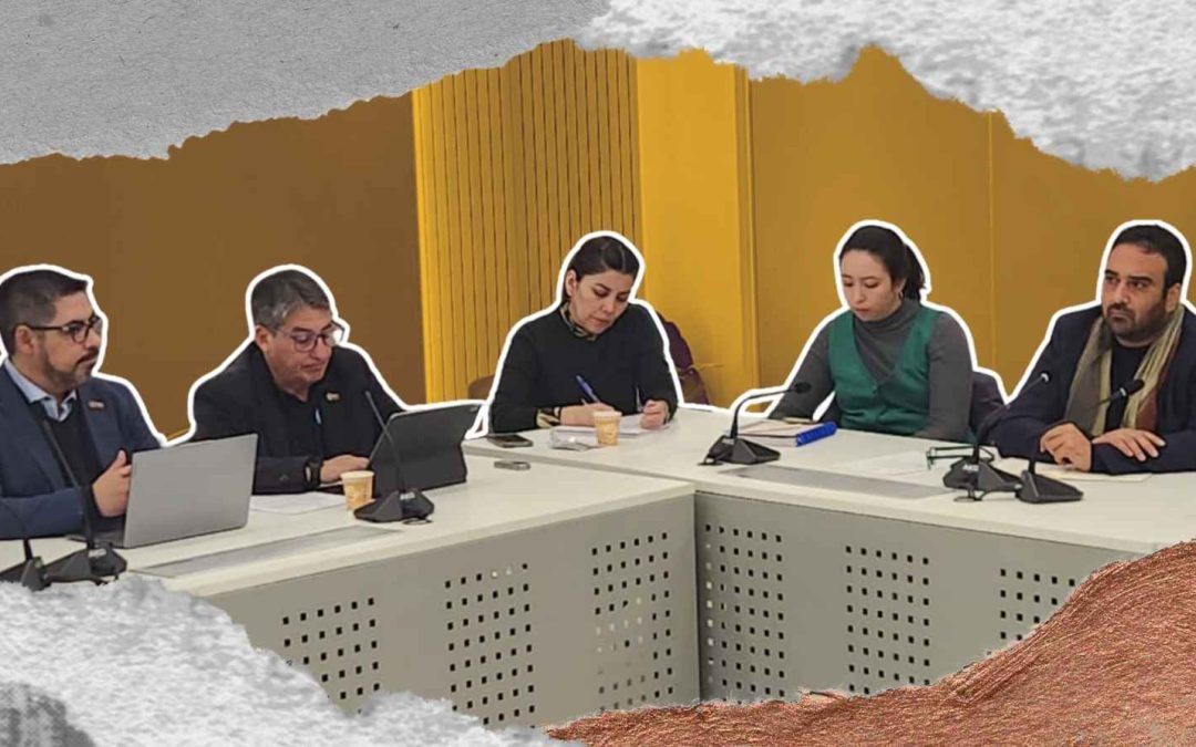 Alerta en la Comisión Minera ante alza de fatalidades: Piden más presupuesto para Sernageomin y la DT